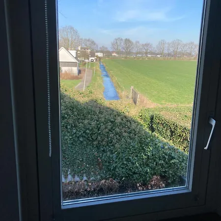 Bb Magnolia * Vlijmen